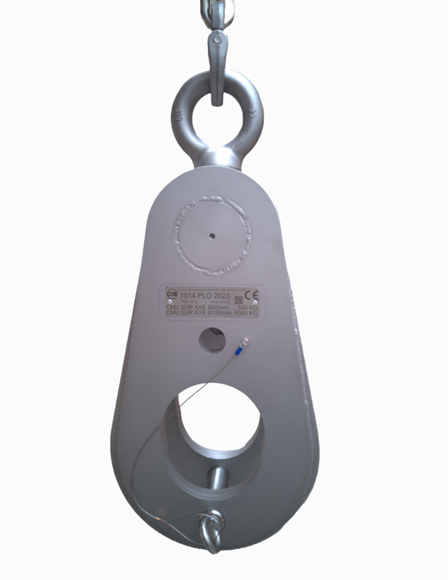 chape de levage à chaîne en Inox